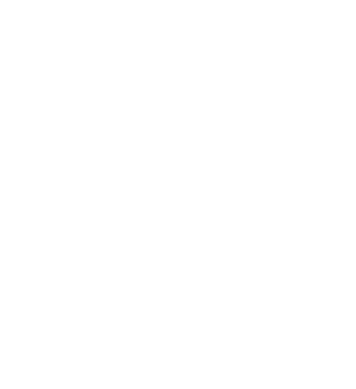 report icon